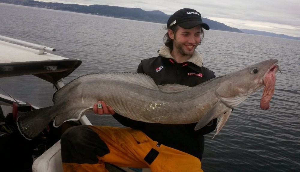 0db81-20140516_203409