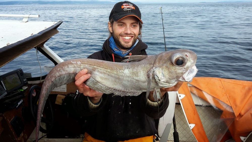 f0751-20141011_135822