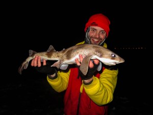 Rødhai_redigert_1320gram