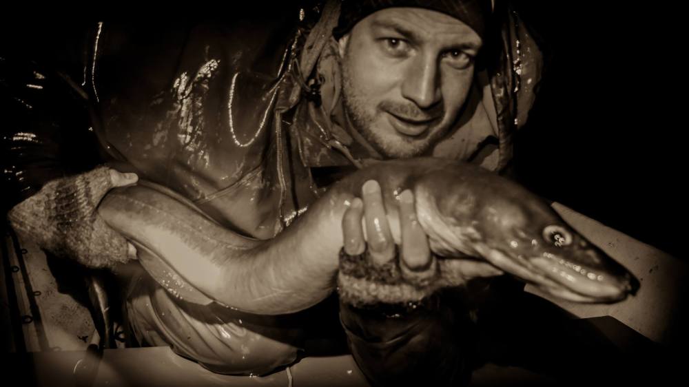 10704238_10152367803531372_7191150021346507910_o