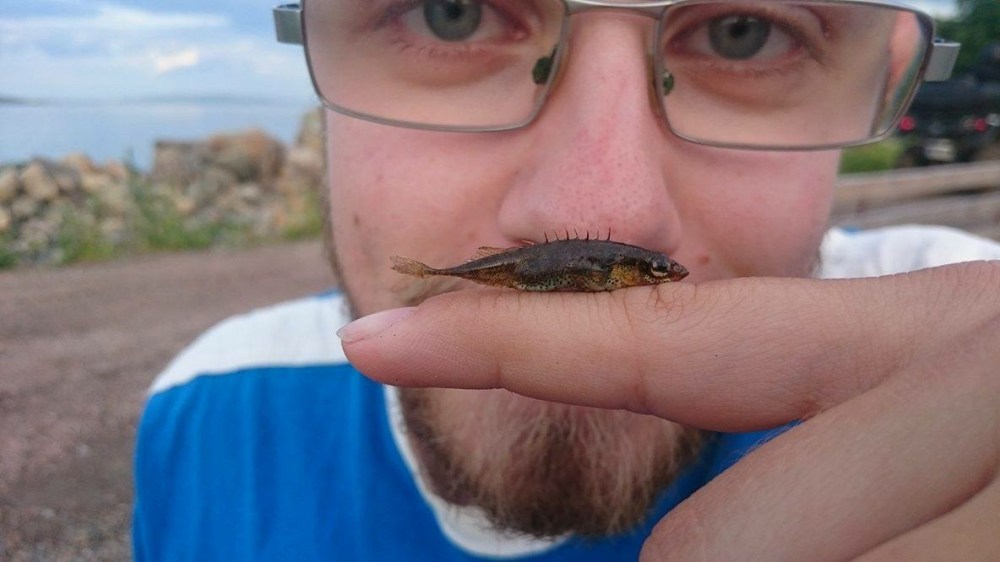 Bilde 16.06.2016, 21.11.02