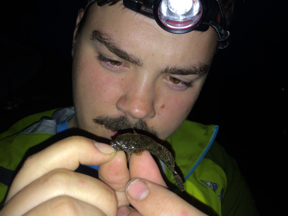 Bilde 19.06.2016, 02.37.59