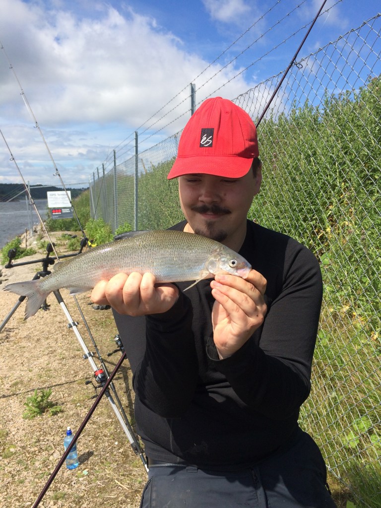 Bilde 21.06.2016, 13.49.02