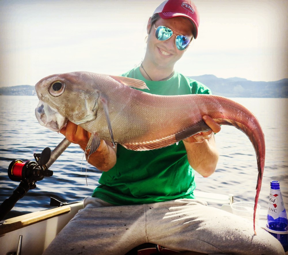 IMG_20170715_223604_296