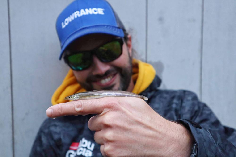 received_411381819508208-01